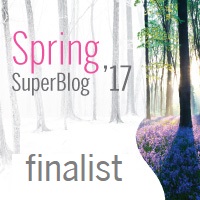 FinalistSpringSuperBlog2017