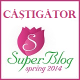 BannerCastigatorSpringSuperBlog2014