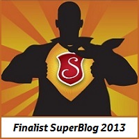 Banner Finalist SuperBlog2013