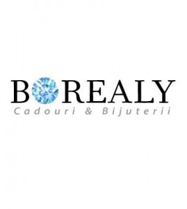 logo_borealy